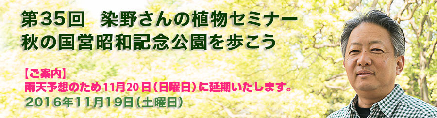 第35回 染野さんの植物セミナー 秋の国営昭和記念公園を歩こう