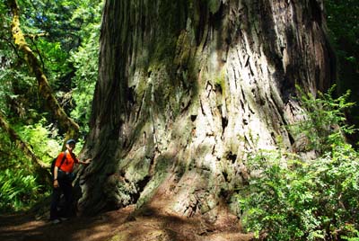 CA__isikawa20100612_0006