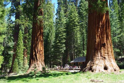 CA__isikawa20100615_0014