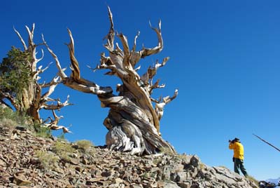 CA__isikawa20100616_0016