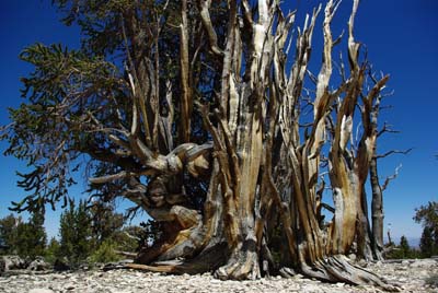 CA__isikawa20100617_0020