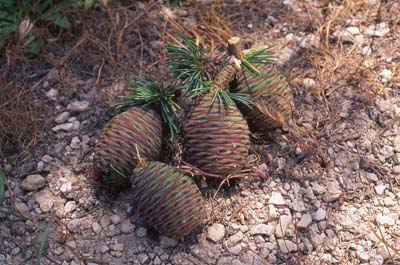 10.02.23_lenbanon069